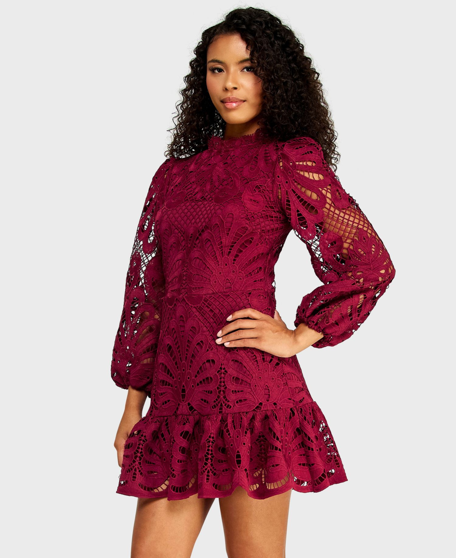 Juniors' Embroidered Lace Dress with Long-Sleeve and Scallop-Hem