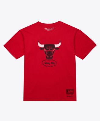 Men's and Women's Red Chicago Bulls Hardwood Classics Arch T-Shirt
