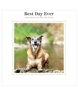 2027 Best Day Ever Dogs Mini Calendar