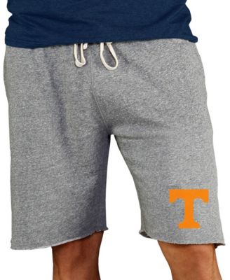 Men's Gray Tennessee Volunteers Mainstream Terry Shorts