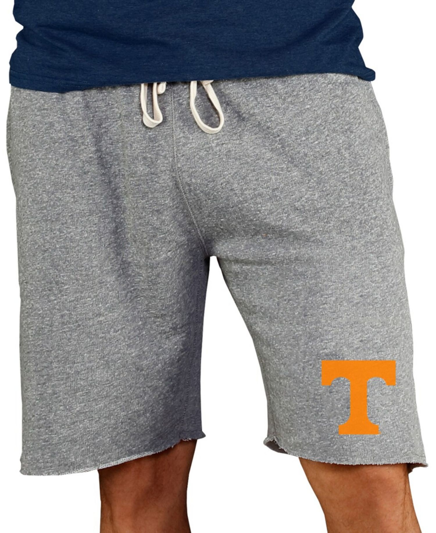 Men's Gray Tennessee Volunteers Mainstream Terry Shorts