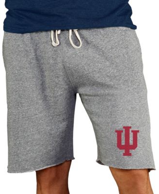 Men's Gray Indiana Hoosiers Mainstream Terry Shorts