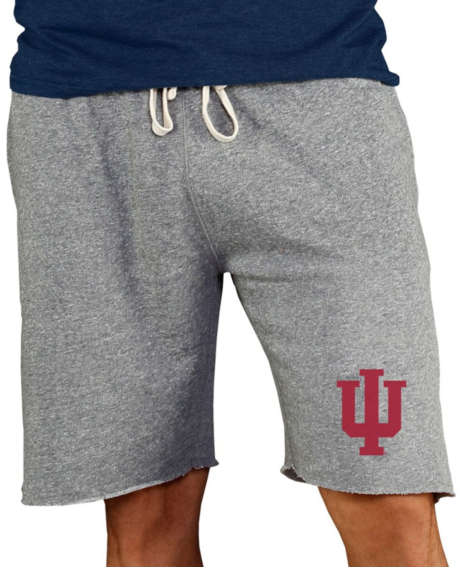Men's Gray Indiana Hoosiers Mainstream Terry Shorts