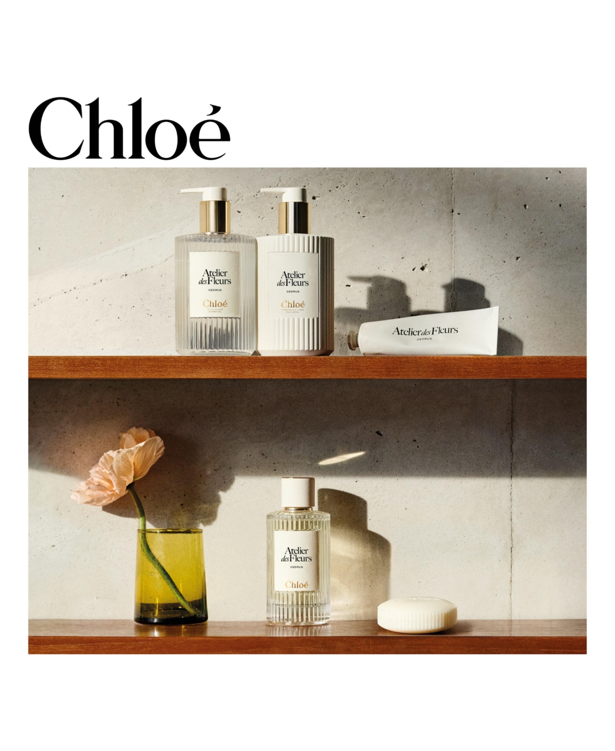 Chloe Atelier des Fleurs Magnolia Alba Perfumed Body Lotion, 10 oz.
