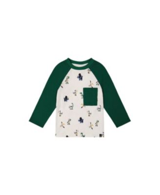 Toddler Boy 2T - 5T Long Sleeve Raglan T-Shirt Dinosaur Print