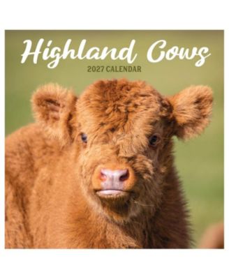 2027 Highland Cows Wall Calendar
