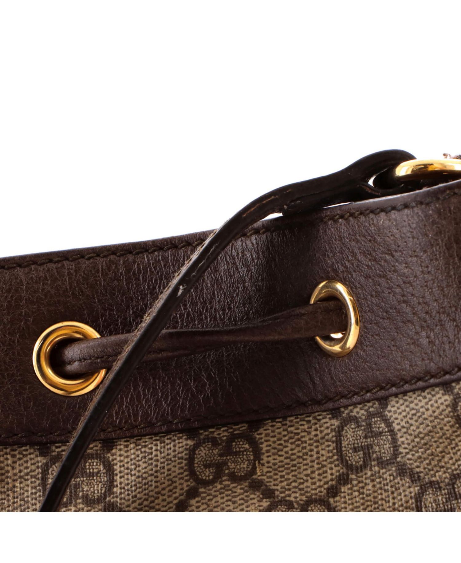 Mini Ophidia Bucket Bag GG Coated Canvas