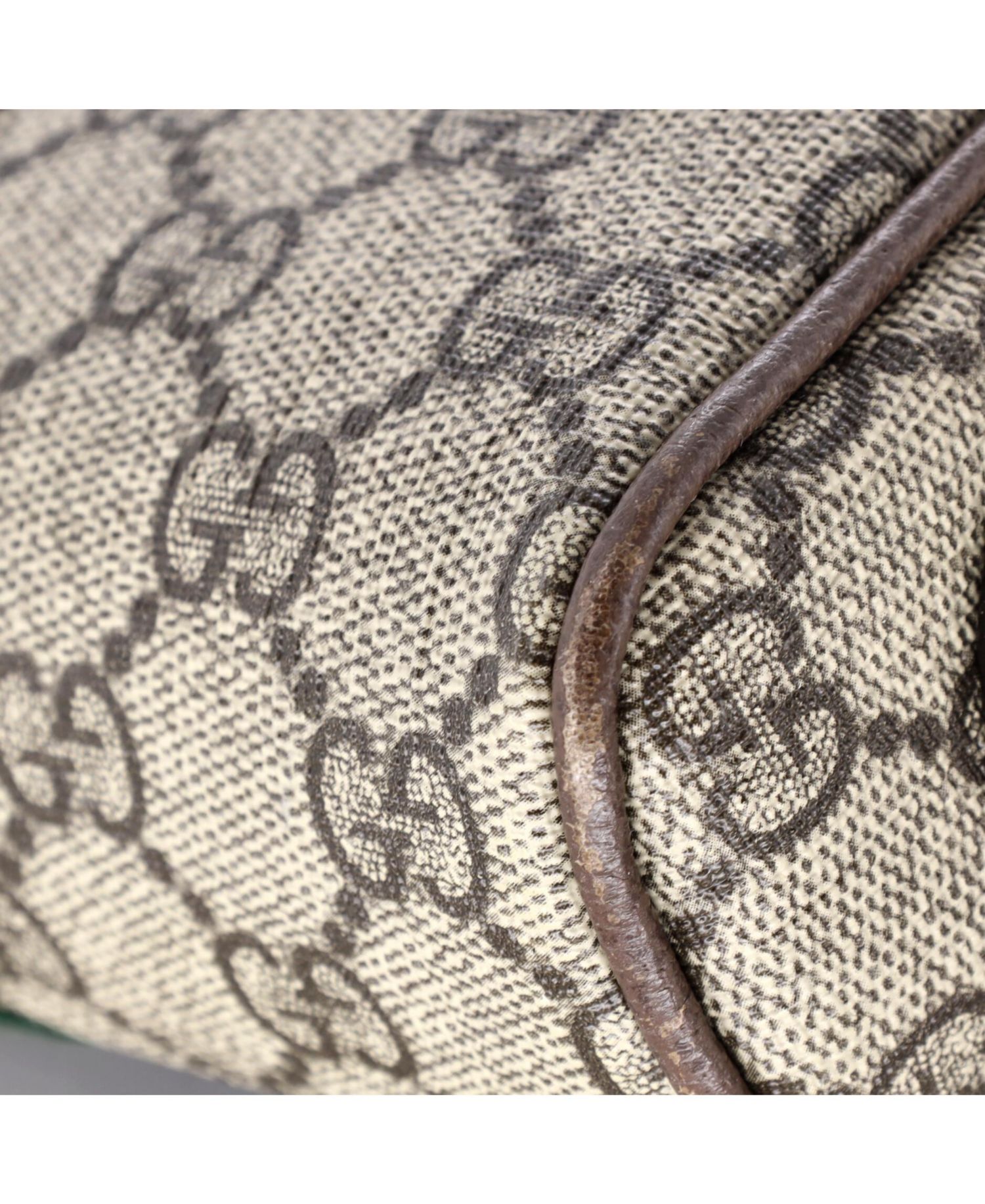 Mini Ophidia Shoulder Bag GG Coated Canvas