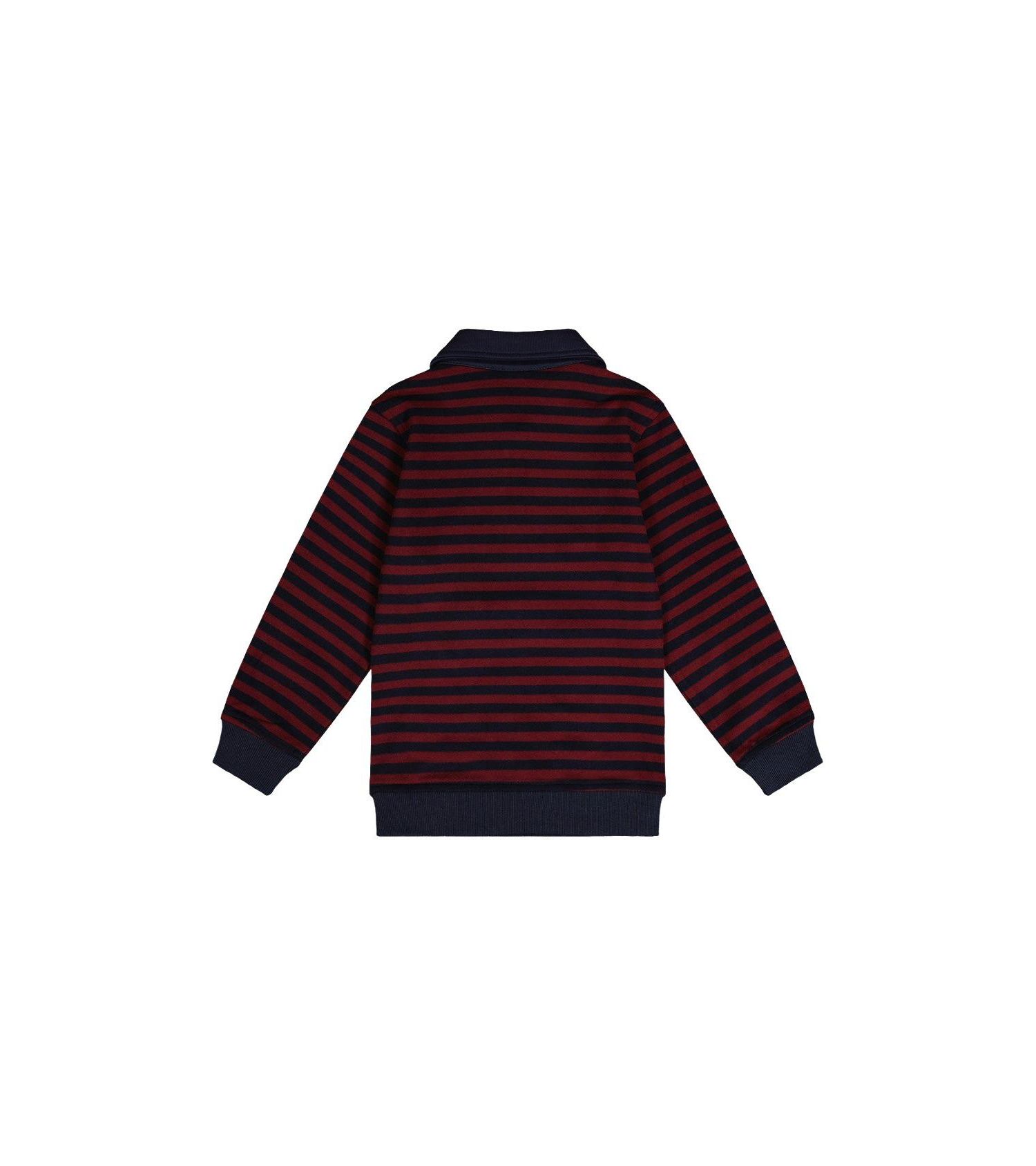 Little Boys (6-12) Brushed Jersey