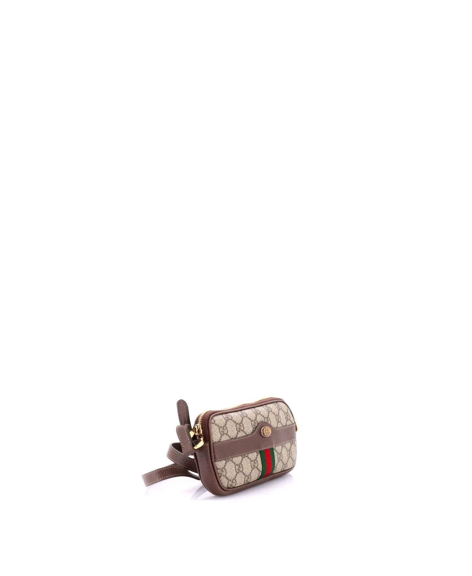 Mini Ophidia Crossbody Bag GG Coated Canvas