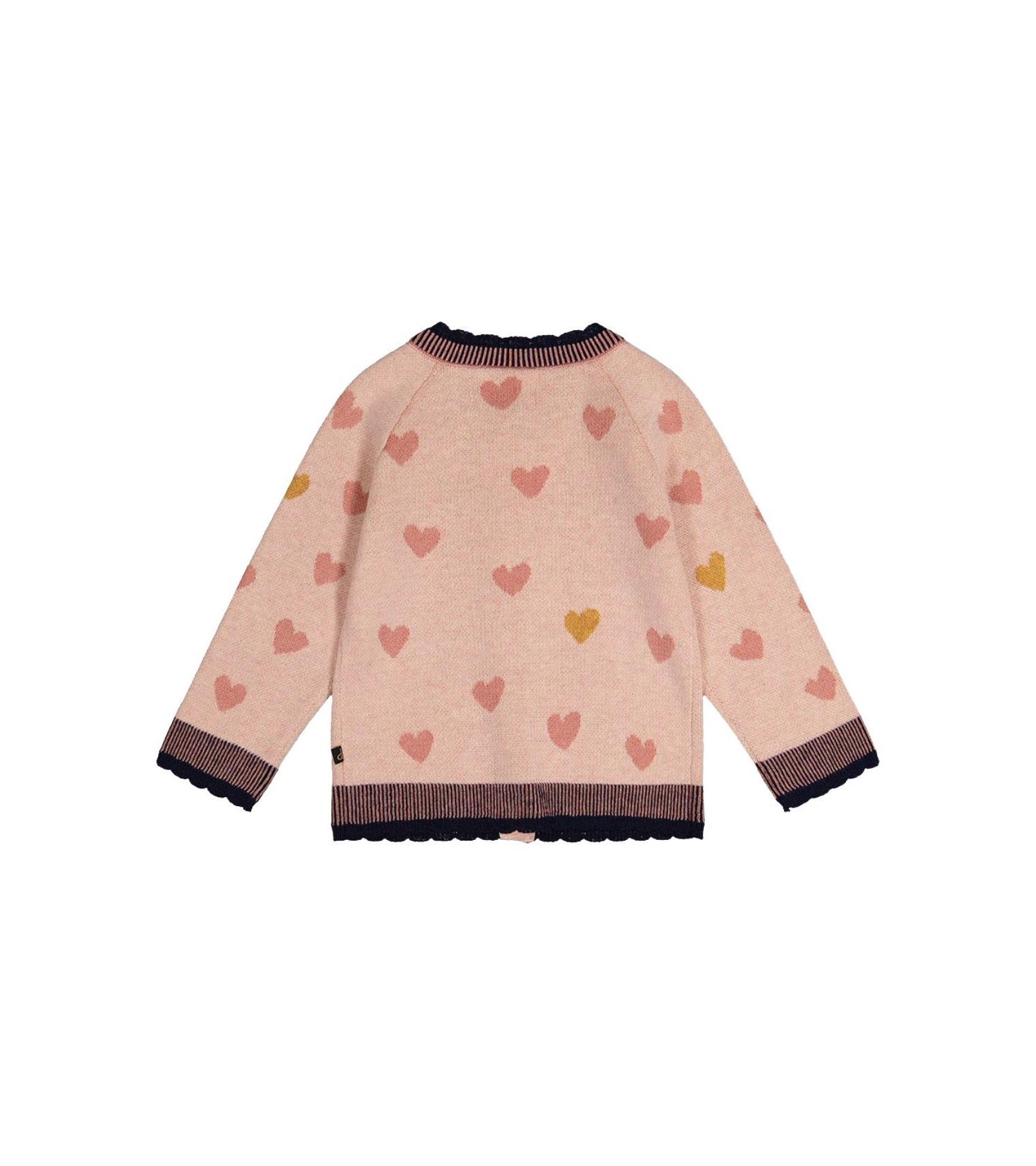 Baby Girls (12M-24M) Knitted Jacquard Cardigan Pale
