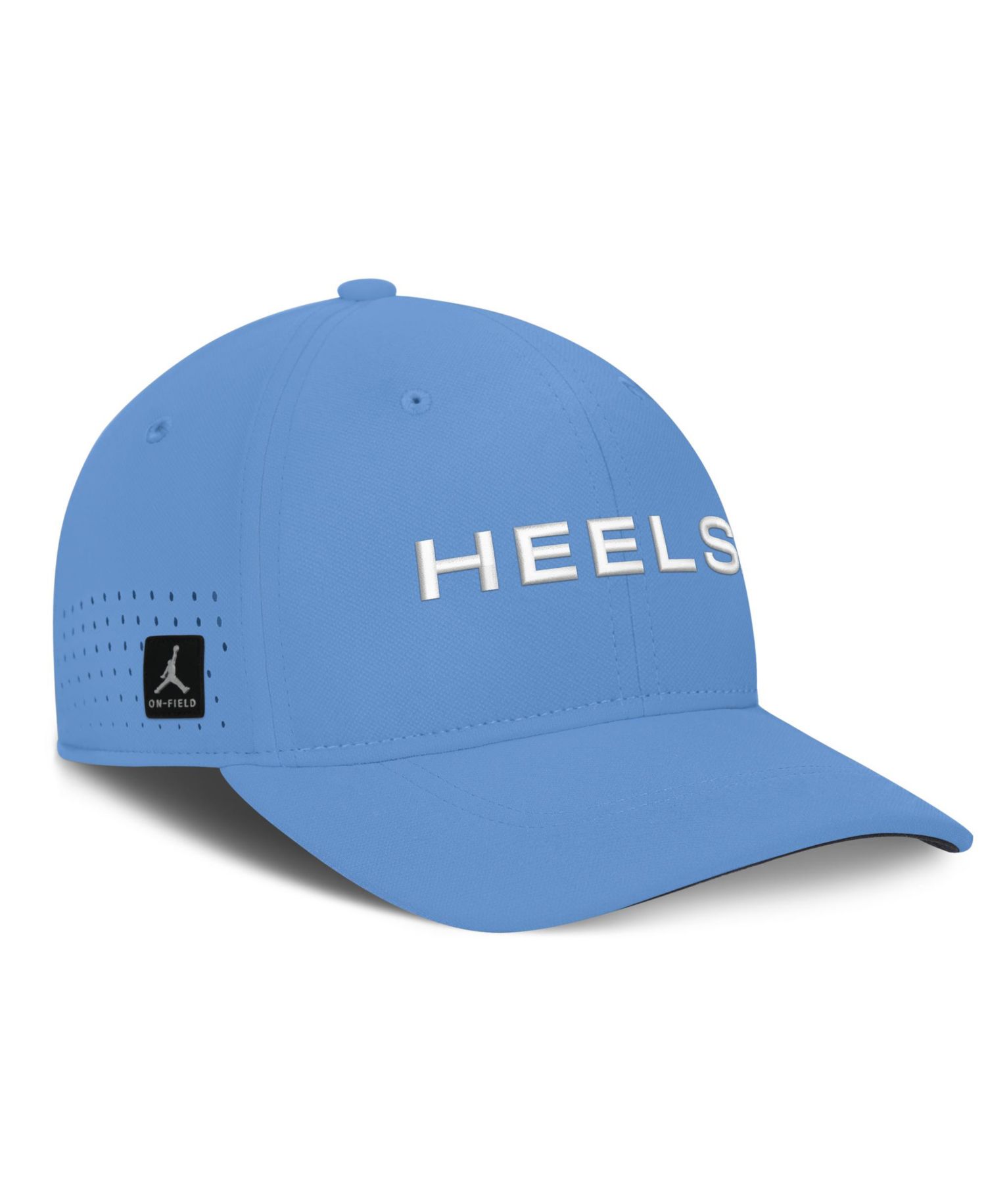 Men's Carolina Blue North Carolina Tar Heels Gameday Aerobill Swooshflex Dri-FIT Hat