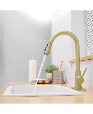 Nickel Gold Kitchen Sink Faucet with Deck Plate Kitchen Faucets with Pull out Sprayer Single Handle Kitchen Faucet