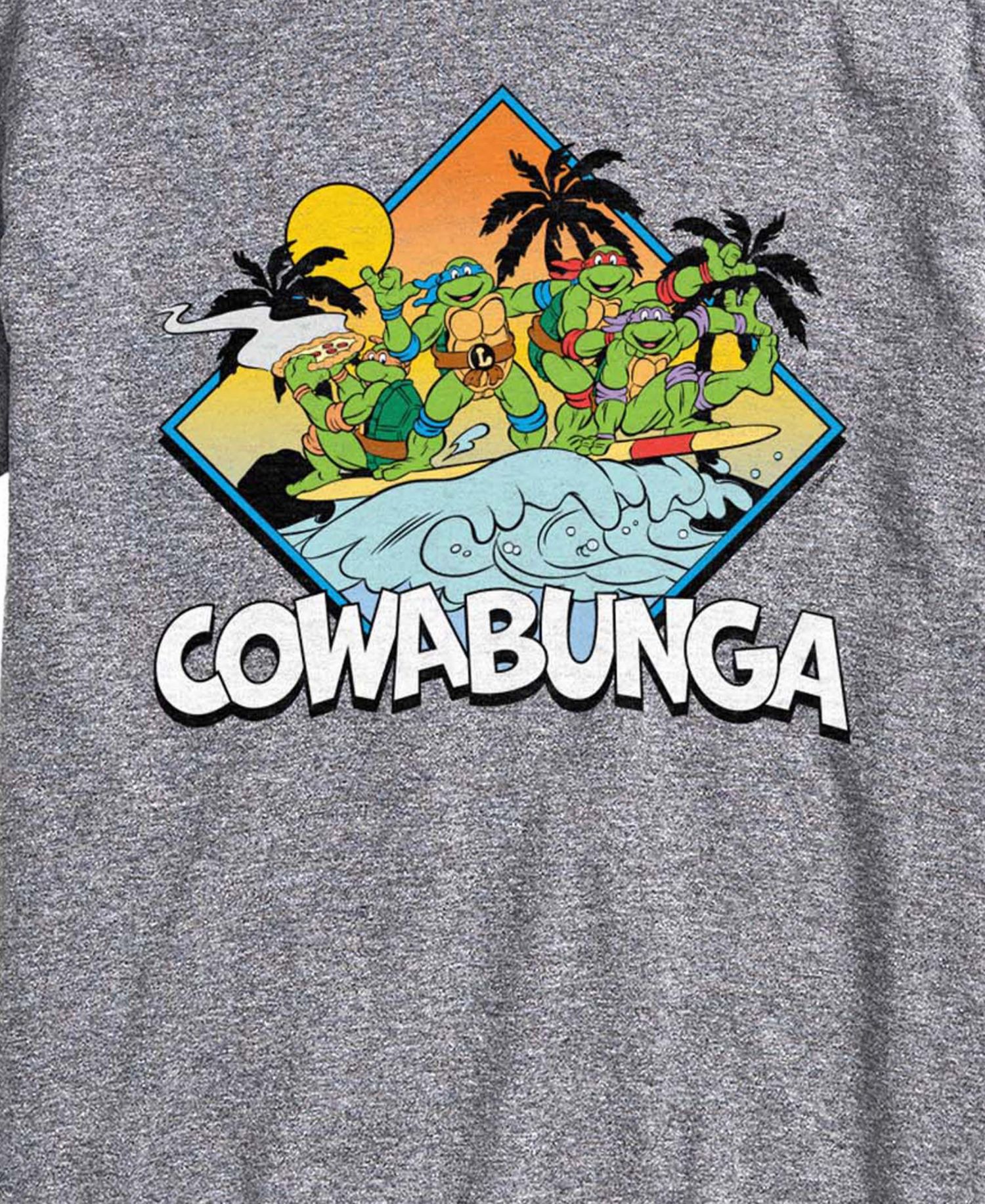 Men's Teenage Mutant Ninja Turtles Cowabunga Surf Graphic T-Shirt