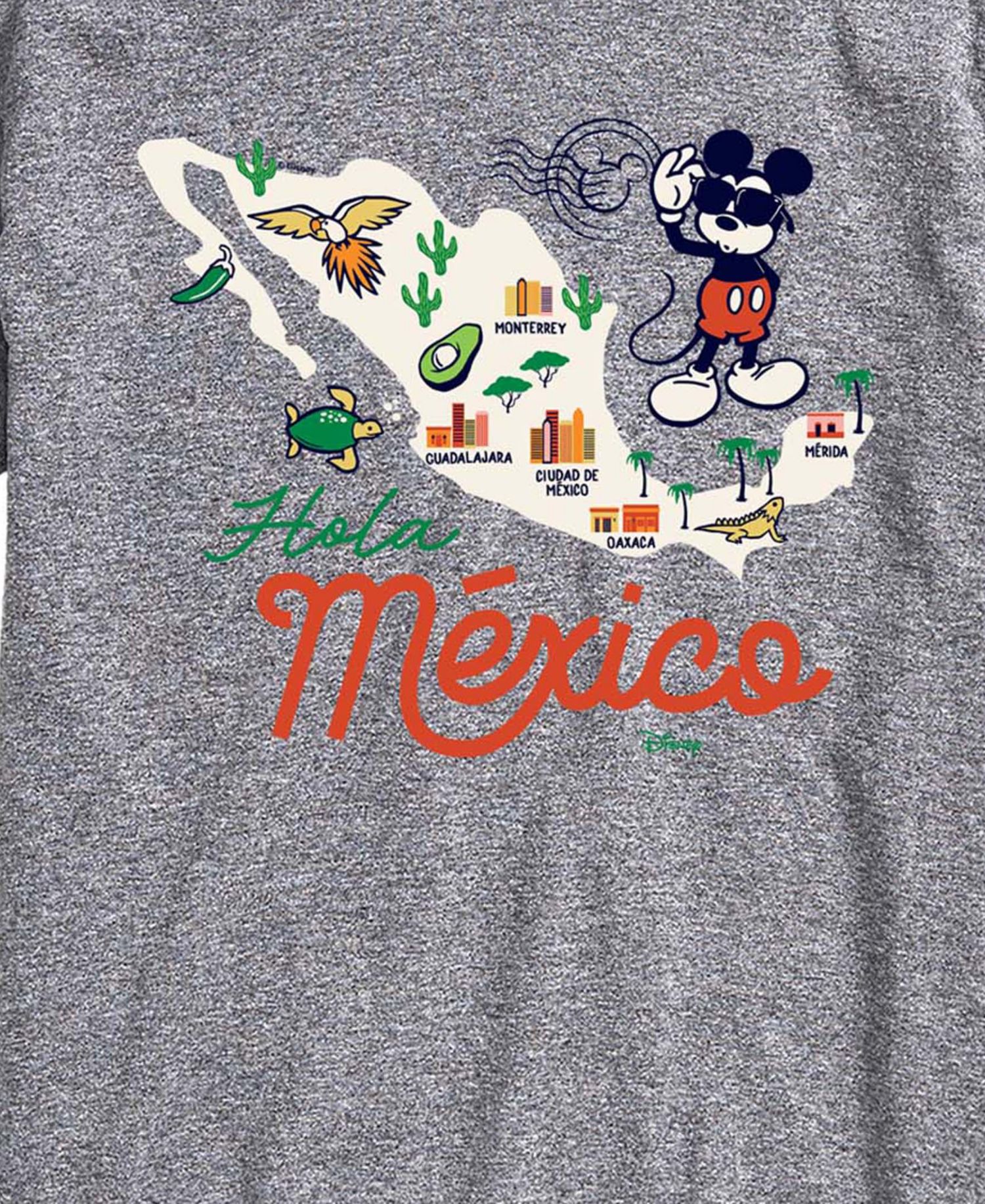 Men's Disney Mickey Mexico Map Graphic T-Shirt