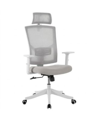 Ergonomic Mesh Office Chair with Lumbar Support, Headrest, Flip-Up Arms, 350lb Capacity