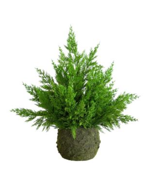 18" Artificial Real Touch Winter Cypress Bush in Moss Planter
