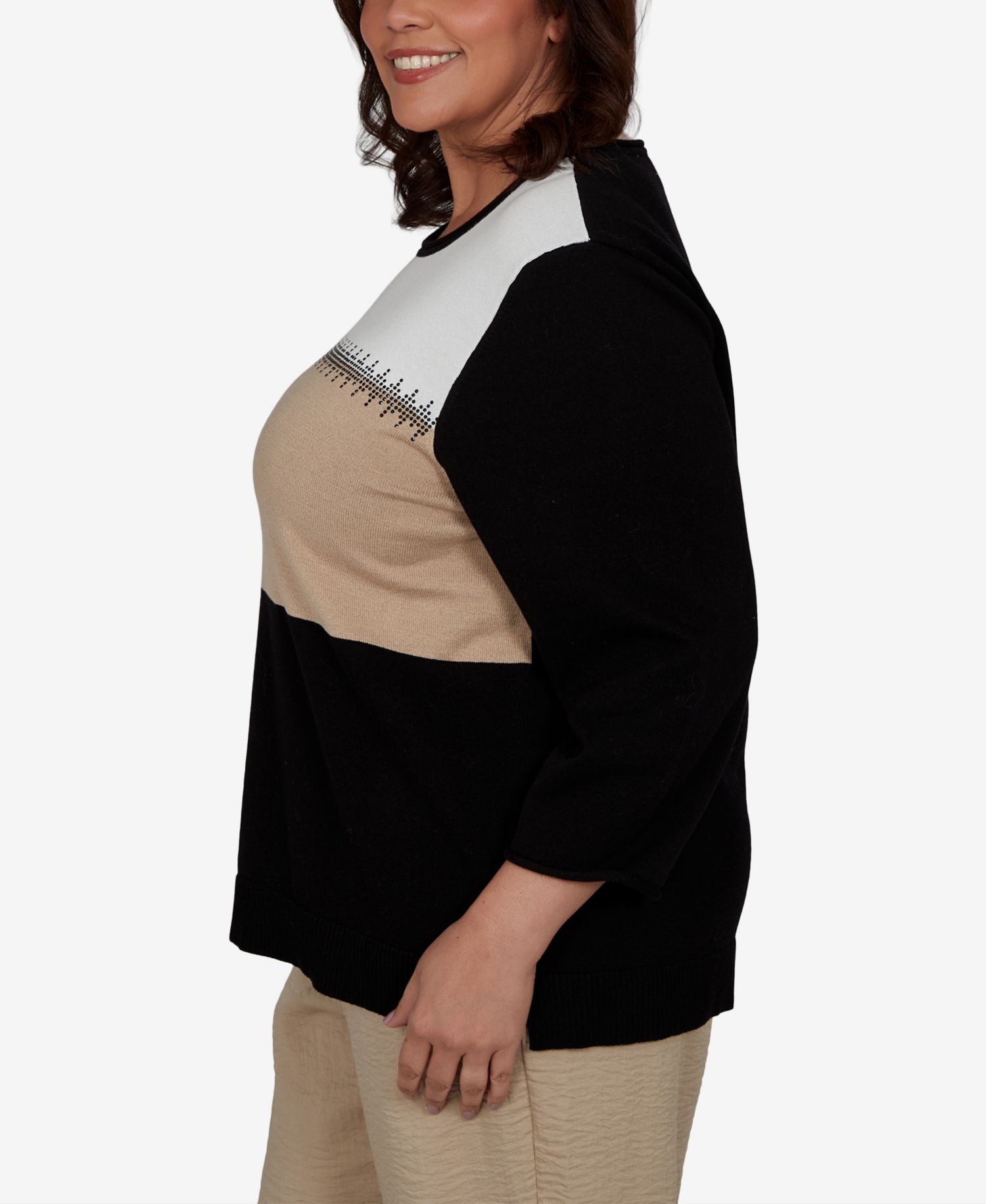 Plus Size Travel Advisory Colorblock Embellished Sweater