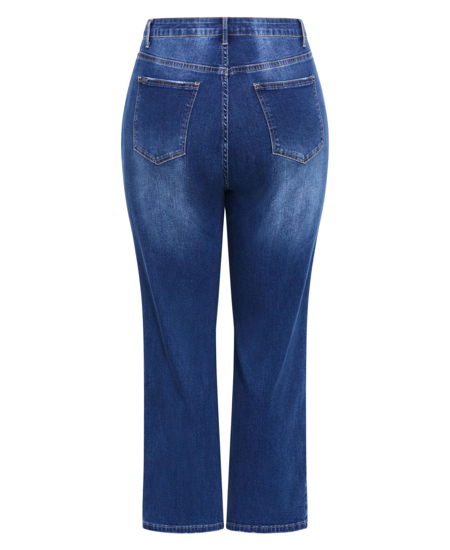 Women's Plus Size Harley Fit Dani Straight Leg Jean