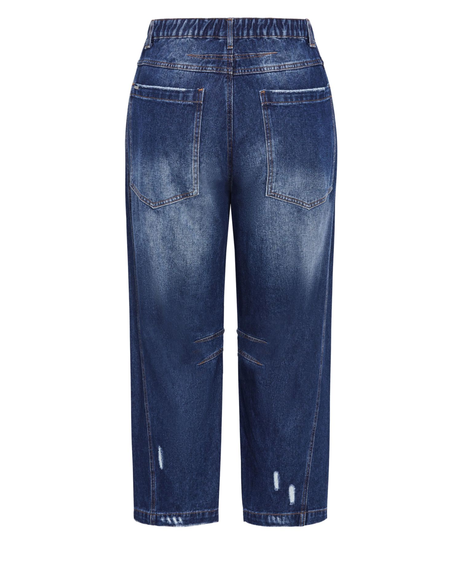 Women's Plus Size Harley Fit Bea Barrel Leg Jean