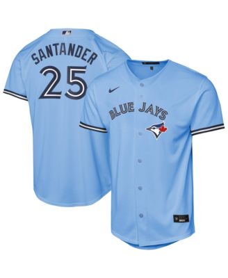 Big Boys and Girls Anthony Santander Powder Blue Toronto Blue Jays Alternate Replica Jersey