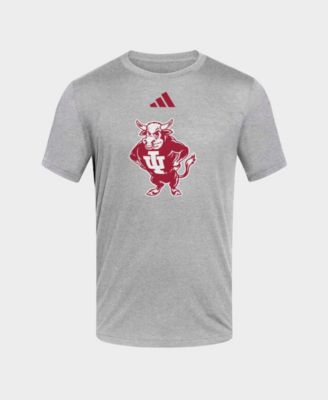 Men's Gray Indiana Hoosiers Vault Blend T-Shirt