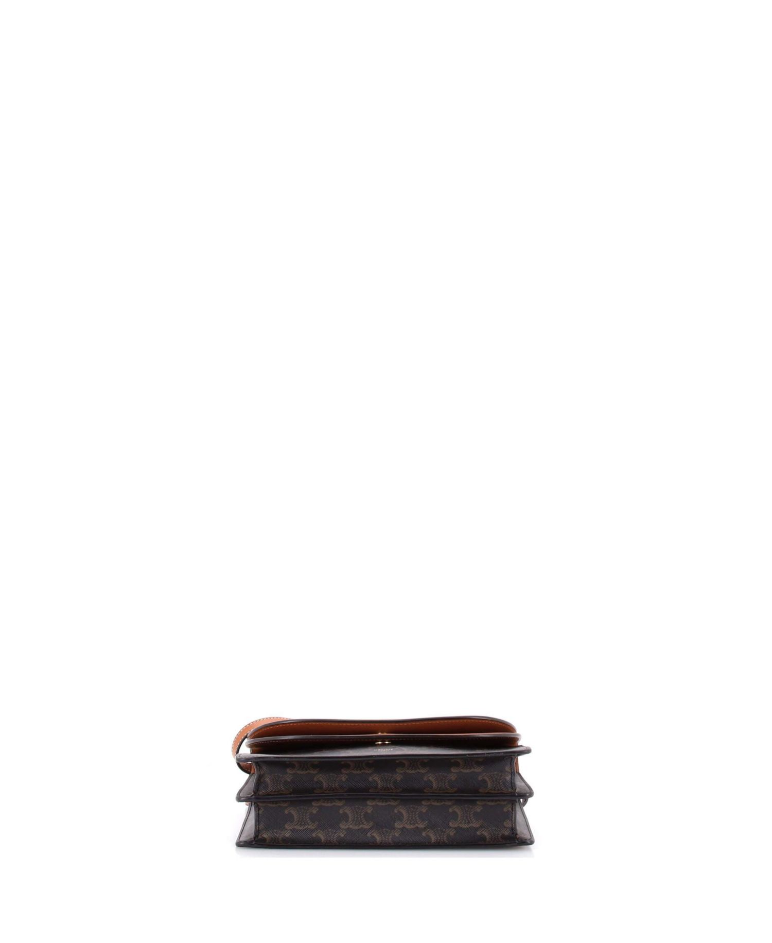 Wallet on Strap Triomphe Coated Canvas
