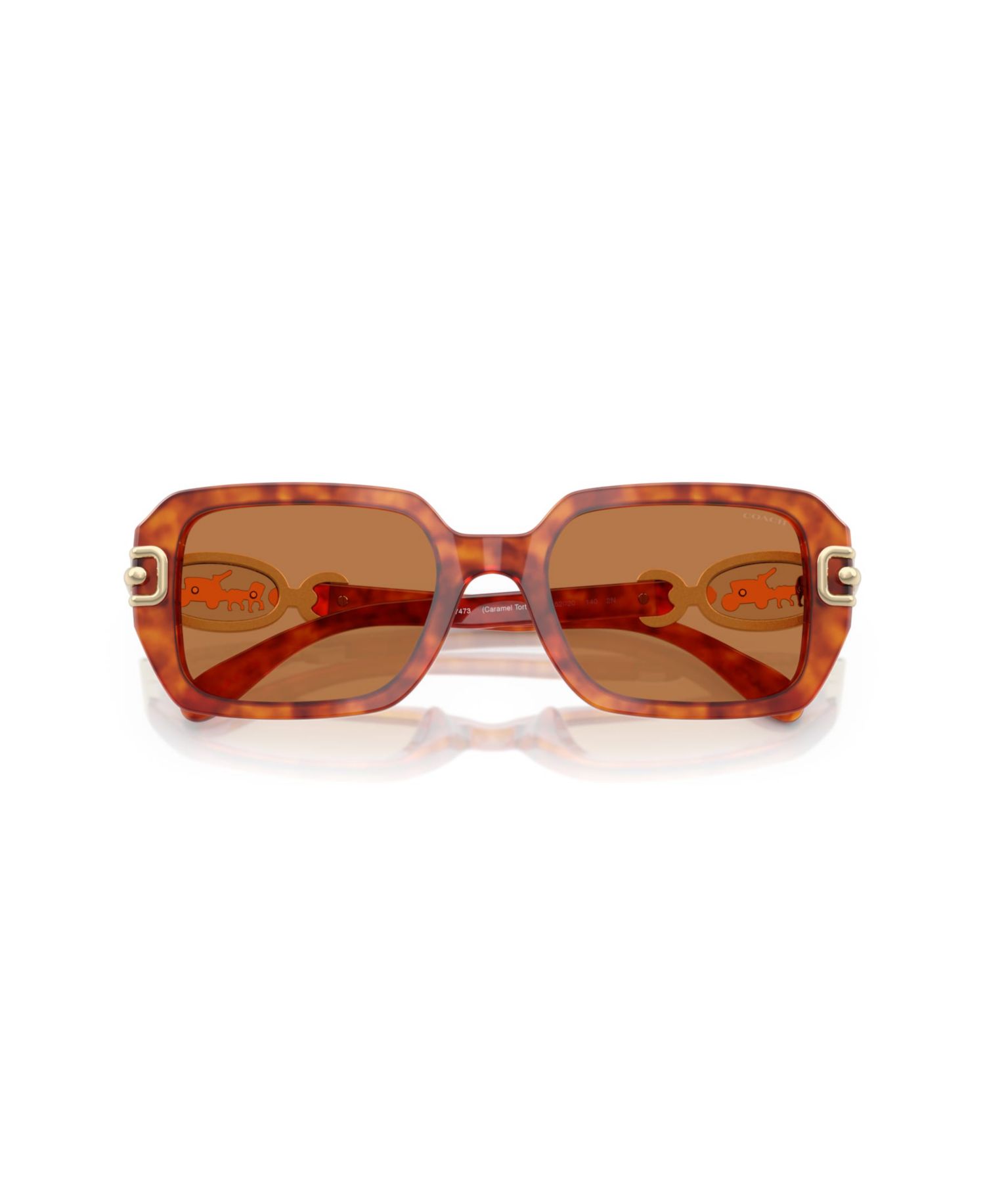 Women's Sunglasses, CAD74 HC8425U