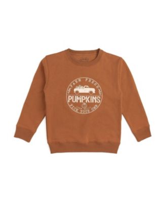Little Boys Farm Fresh Pumpkins Sweatshirt