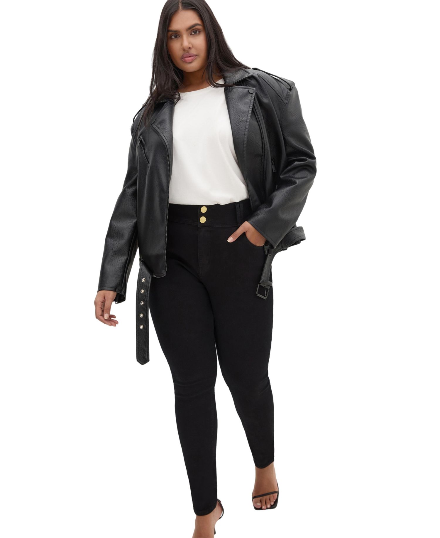 Plus Size Asha Fit Skinny Leg Regular Jean