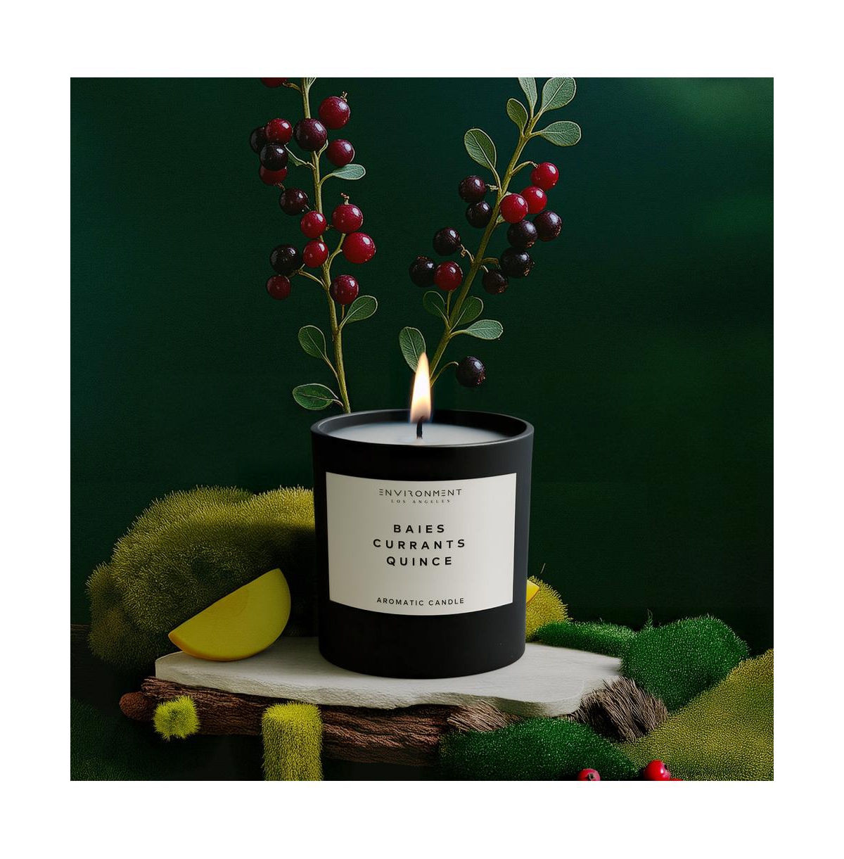 Environment 8oz Candle Inspired by Diptyque Baies
