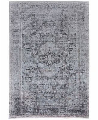 Sarrant R3966 6'7"x9'10" Area Rug