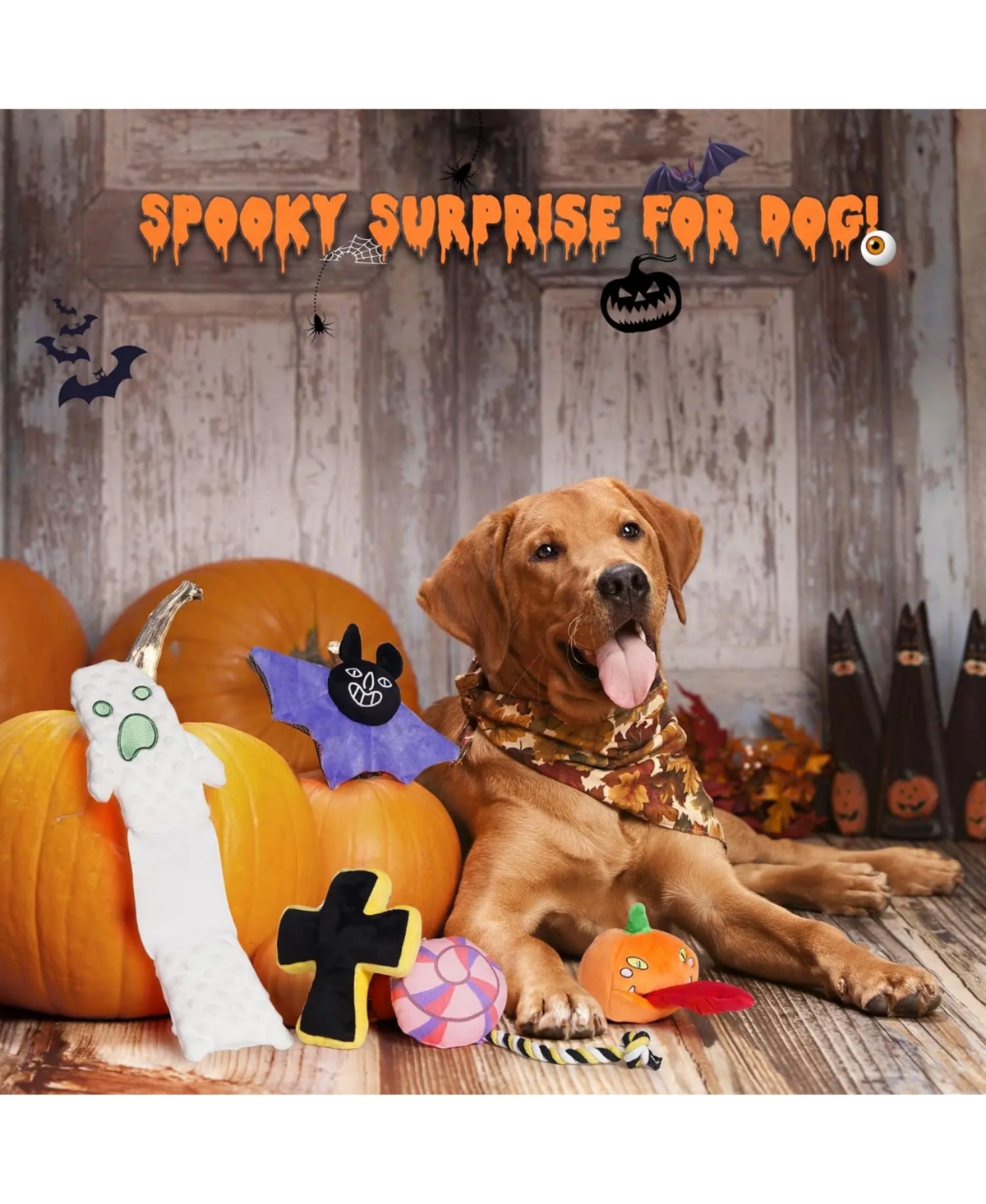 Nocciola 5 Piece Multi-Sensory Spooky Dog Toy Set | Halloween Giggle, Christmas gift,Squeaky and Crinkle Plush Toys, Small to Large Dogs