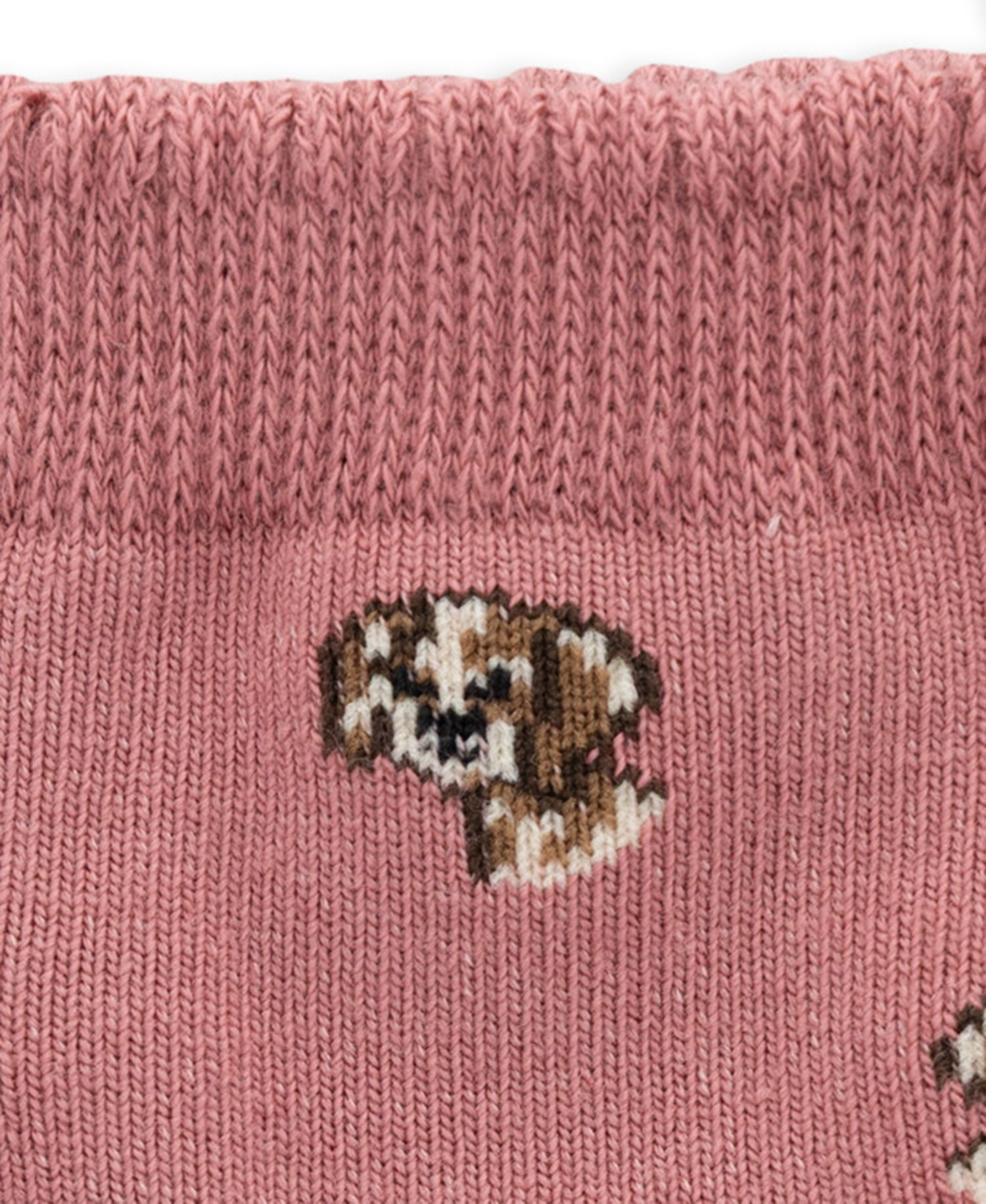 Baby Boys' Fair Isle Festive Dog Print Crew Socks, 3-Pack