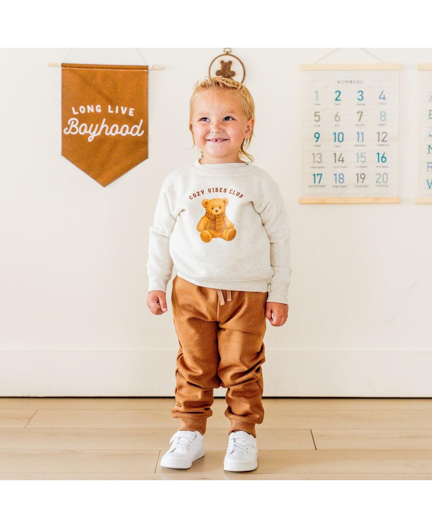 Little Boys Cozy Teddy Sweatshirt