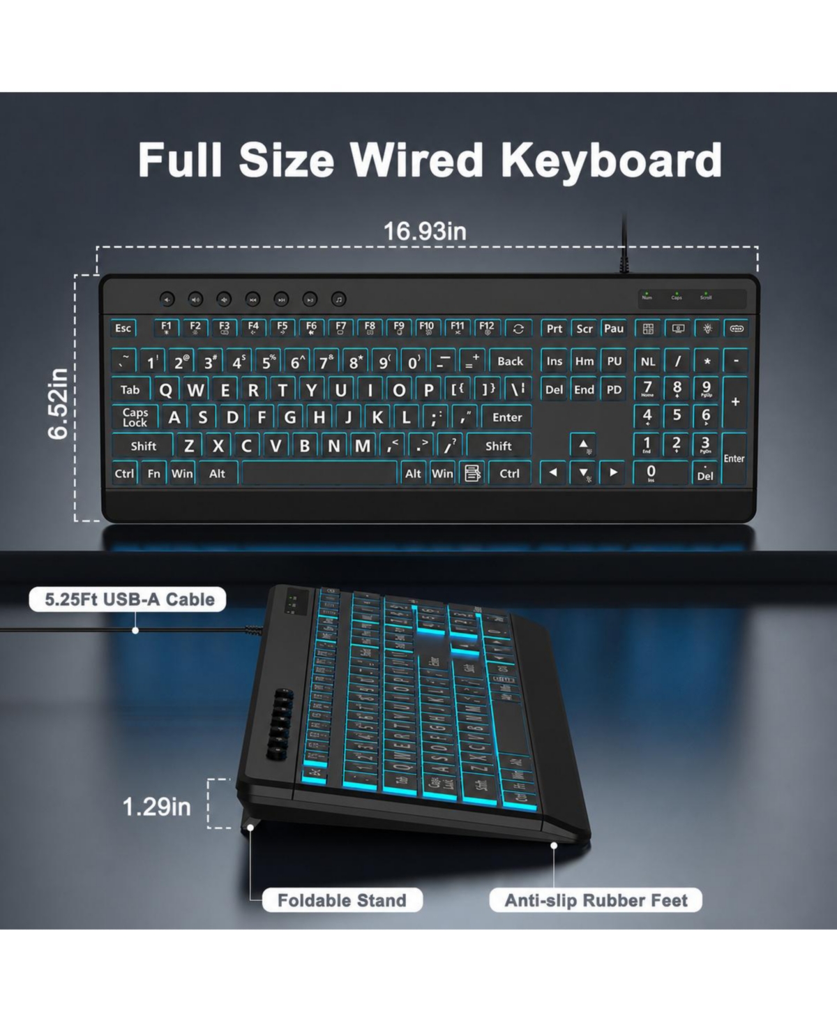 Lofree Large Print Backlit Wired Keyboard Compatible with Windows, PCs, Laptops, Chrome Devices