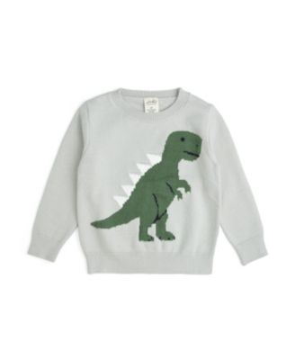 Toddler Boys Dinosaur Sweater
