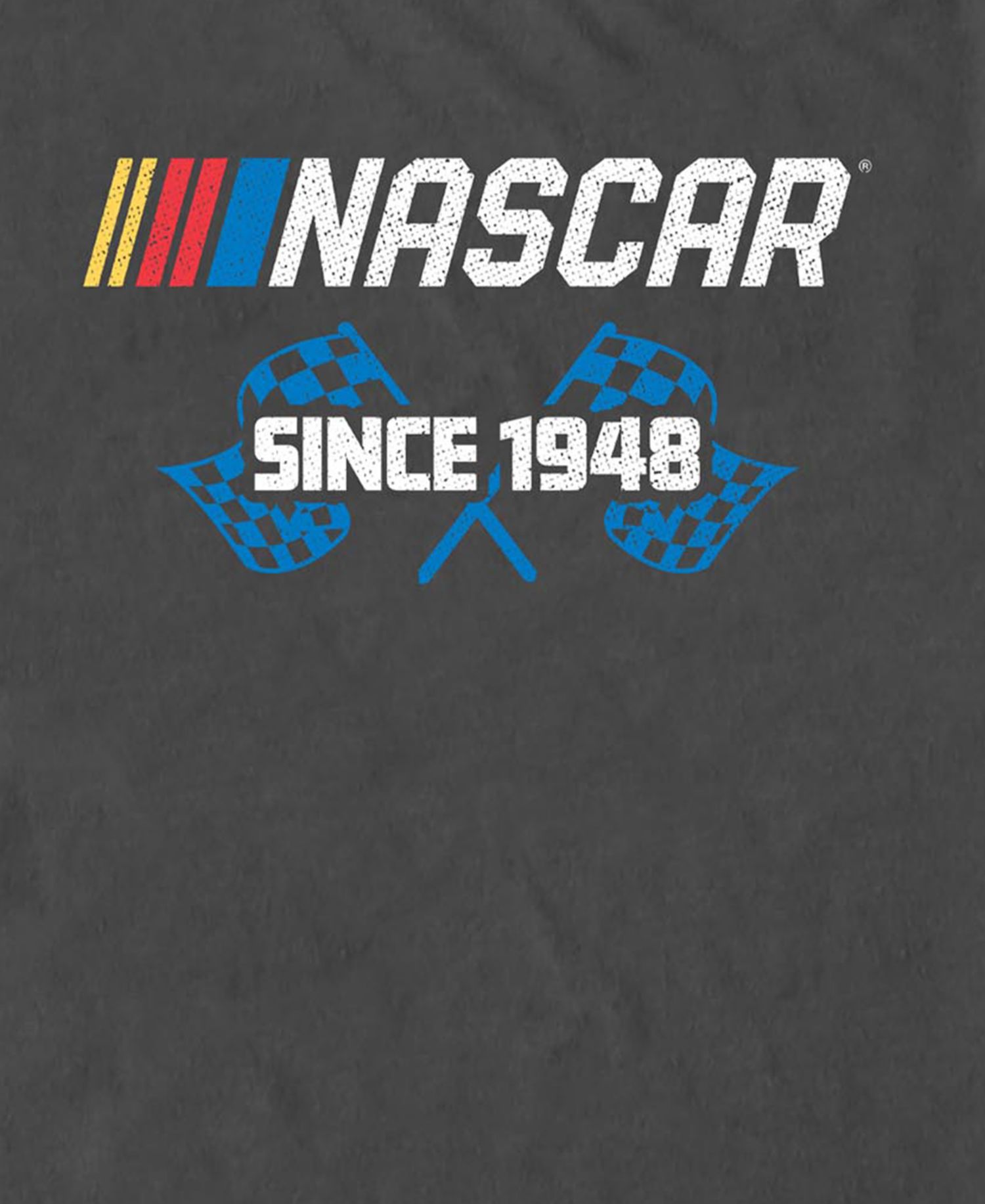 Men's Nascar Racing Logo Graphic T-Shirt