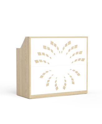 46.5" Modern Reception Desk with Storage Cabinet