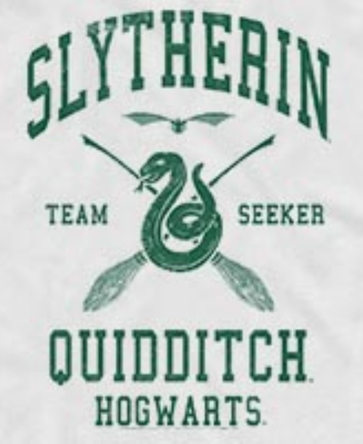 Men's Harry Potter Slytherin Quidditch Seeker Hogwarts Graphic Tank Top