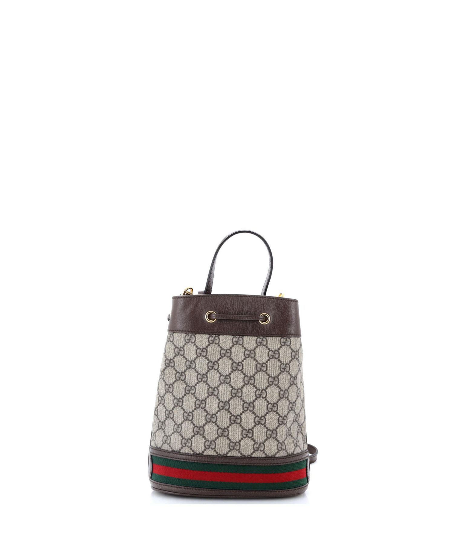 Small Ophidia Bucket Bag GG Coated Canvas
