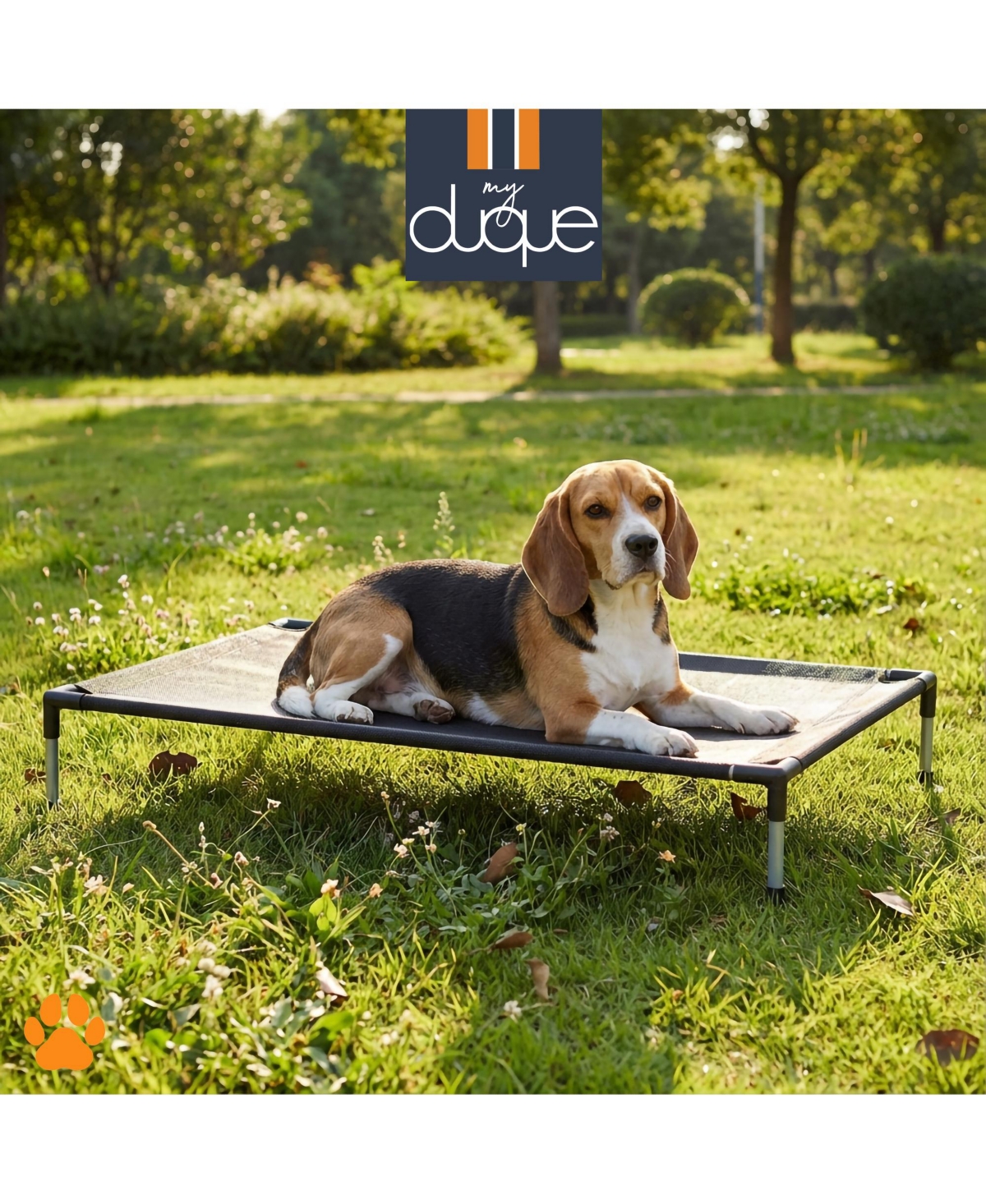 My Duque: Coola Bed