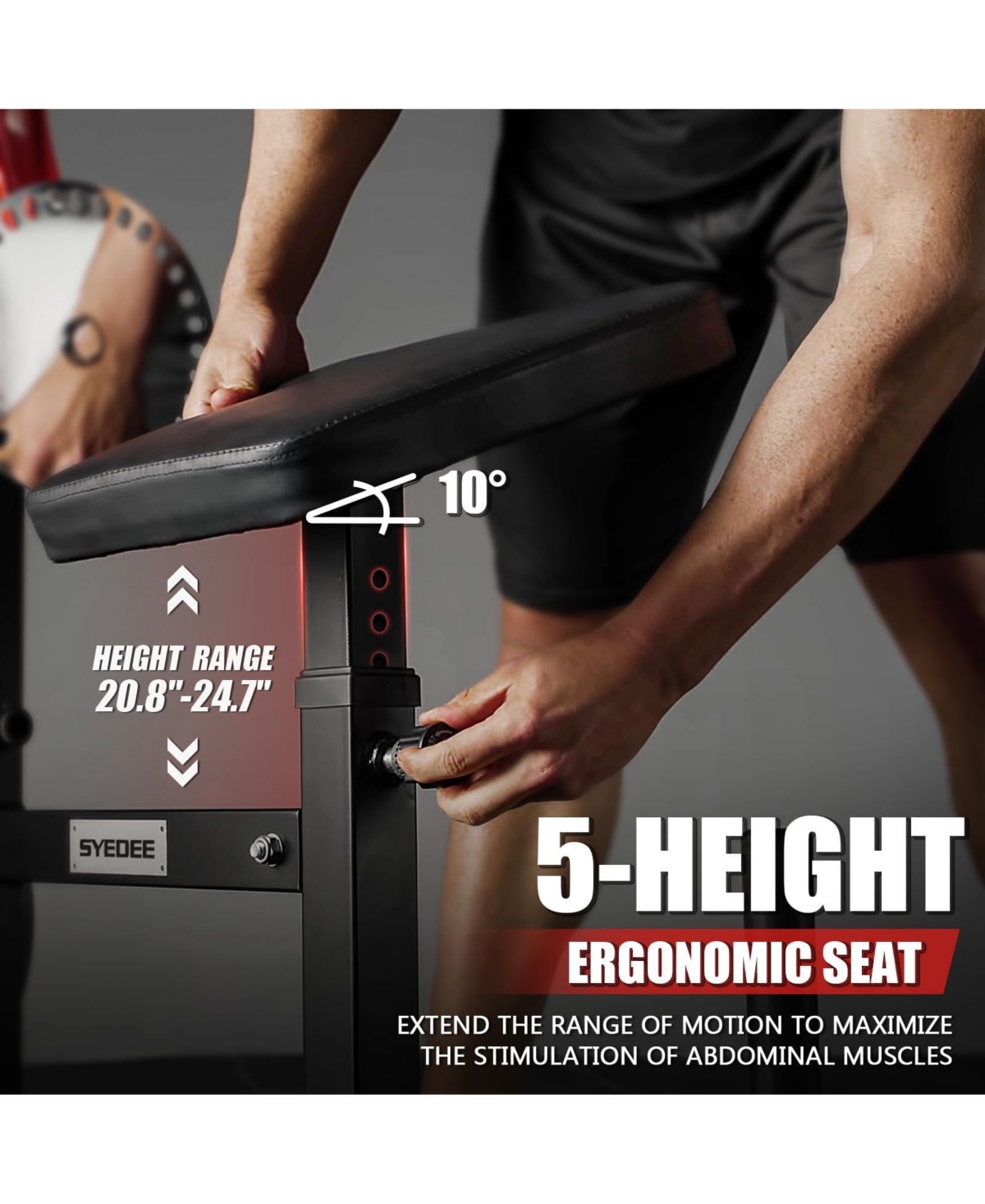 Syedee Seated Ab Curl/ Back Extension Machine, Plate Loaded Machine with 450lbs Weight Capacity, Home Gym for Core and Back Training