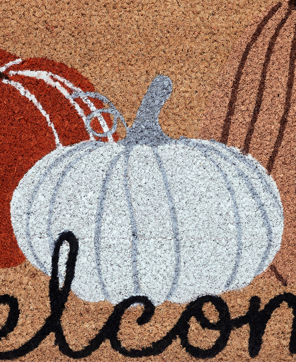 Vcny Home Harvest Pumpkins Outdoor Coir Doormat, 18" x 30"