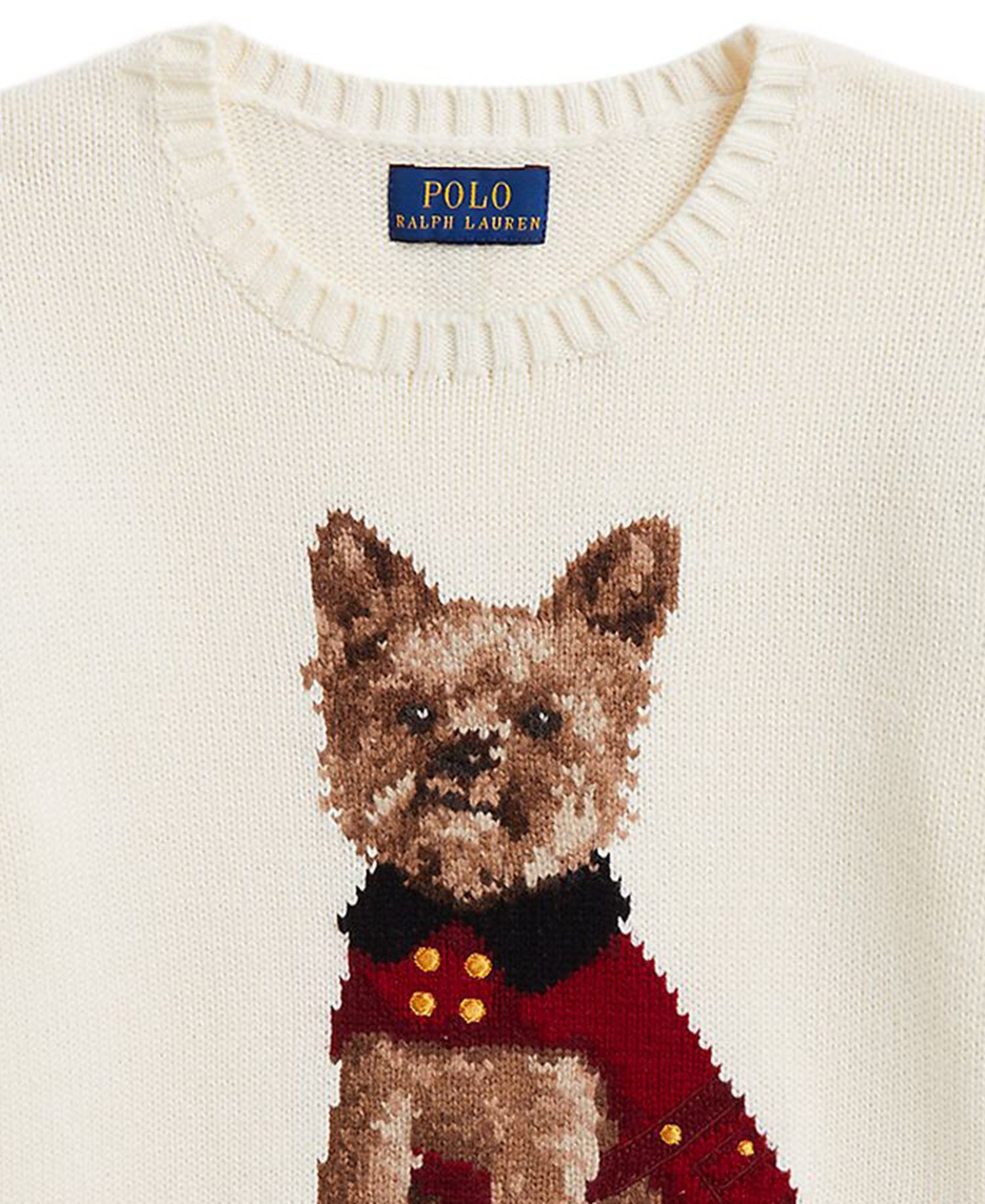 Girls' 7-16 Dog Cotton Sweater
