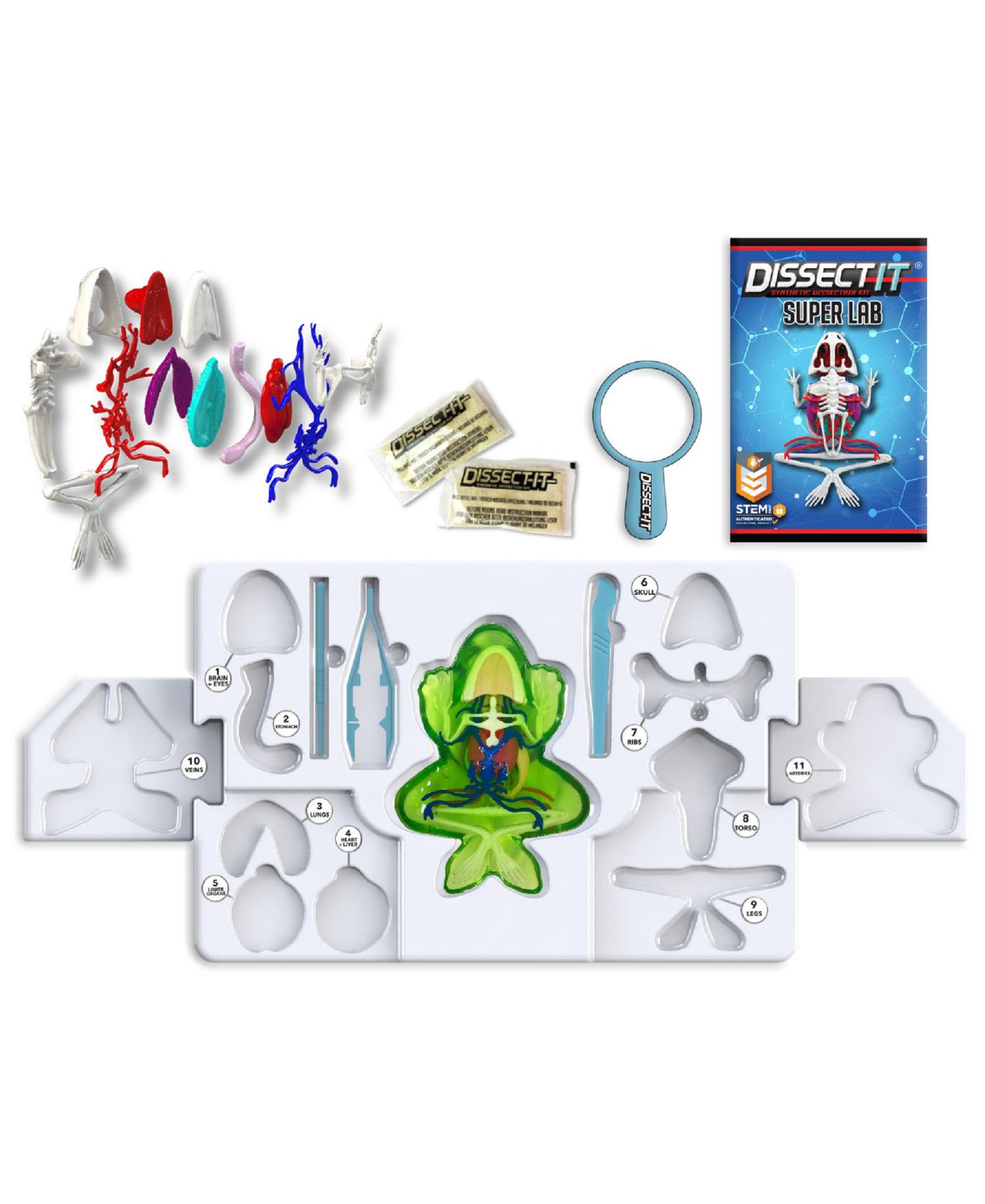 Детские игрушки Dissect-It Deluxe Super Frog Lab Realistic Dissection Science Kit, Ages 6+ — фото 2