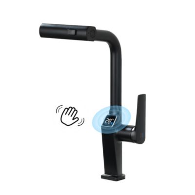 Touchless Pull-Out Kitchen Faucet, Single Handle Faucet with LED Temperature Display, 3-Mode Sprayer and 360degree(s) Swivel Spout