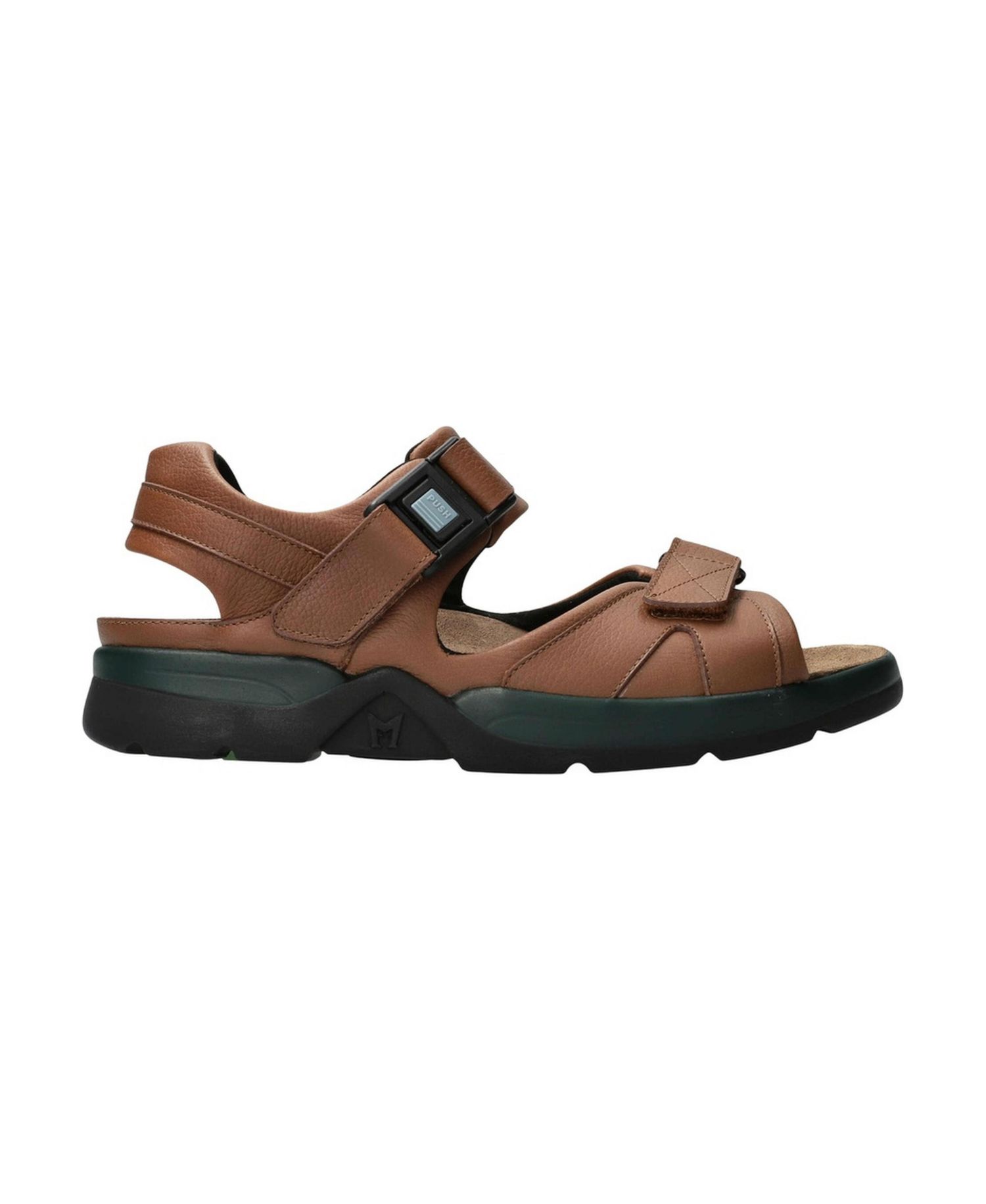 Men's Shark Fit Chestnut Nevada Sandal
