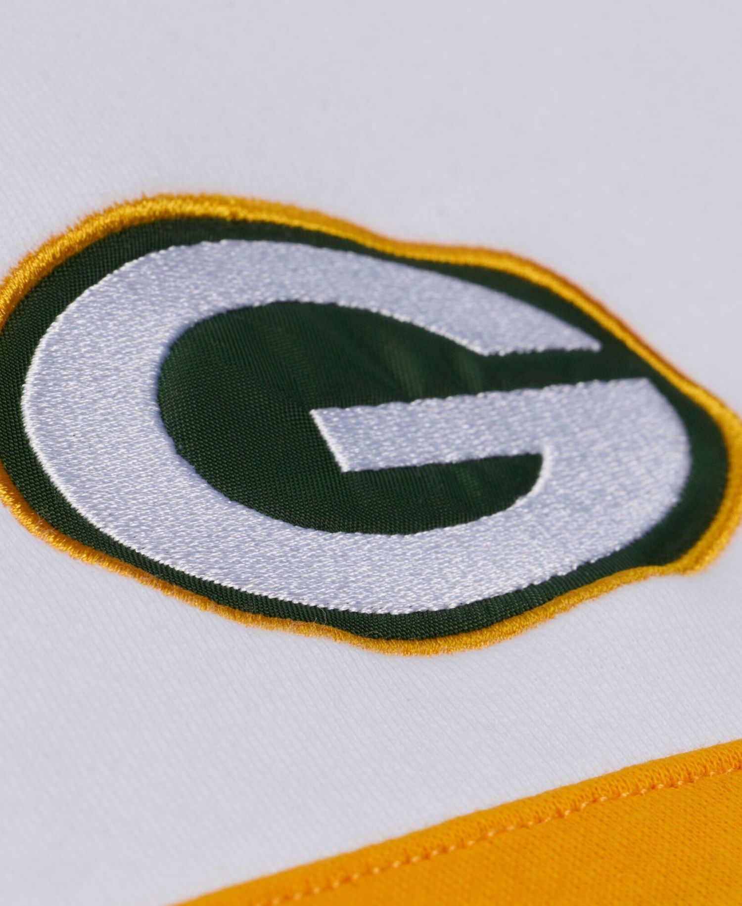 Men's Green Bay Packers Head Coach Fleece Embroidered Hoodie