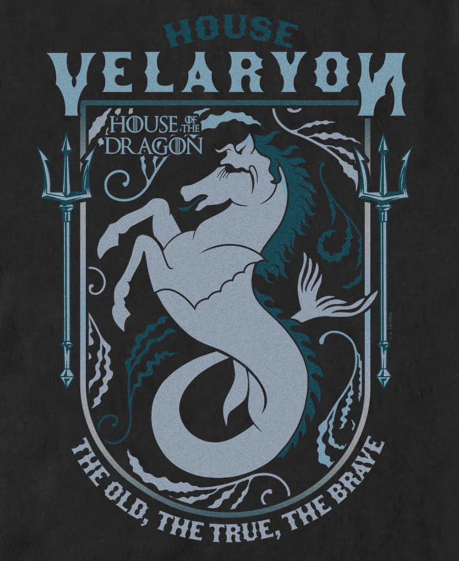 Men's House of the Dragon Velaryon Graphic Cotton T-Shirt